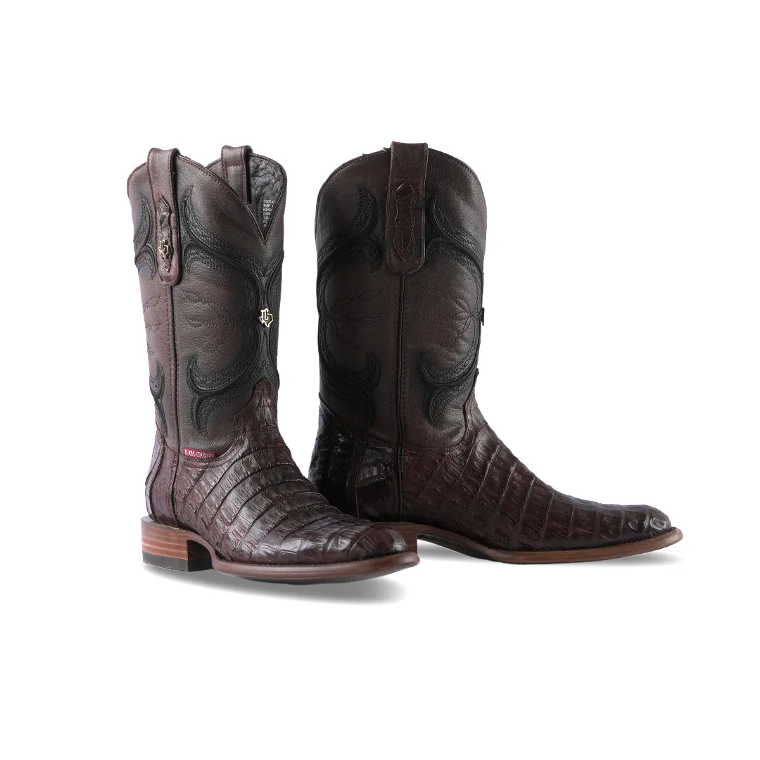 Texas Country Exotic Boot Caiman Belly Cola Tabaco LM81